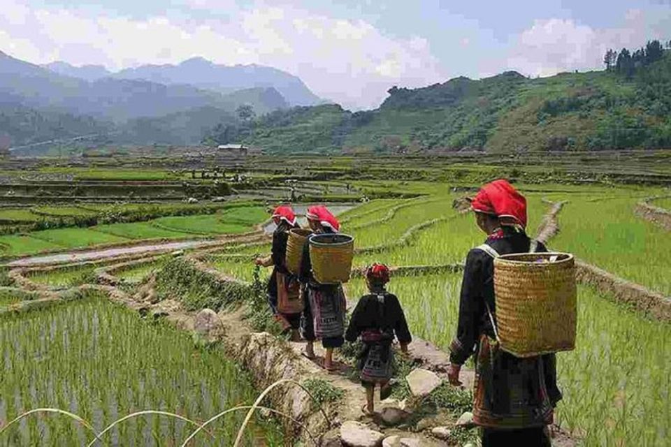 From Hanoi: 2-Day Sapa Town Hiking Tour & Homestay With Food - Cultural Experience