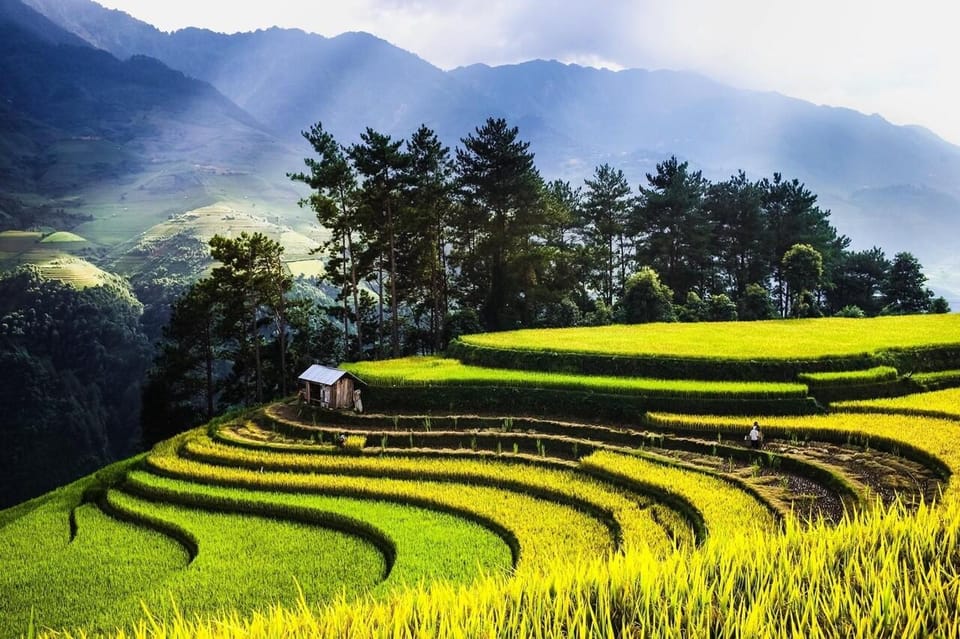 From Hanoi Explore Local Village See Terraced Field In 2 Day - Included Amenities and Services