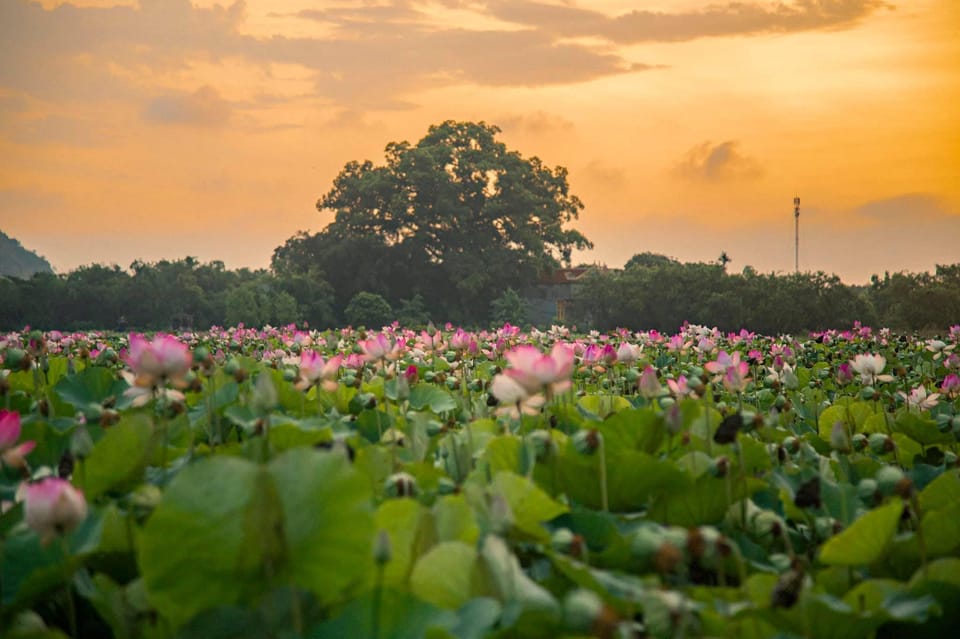 From Hanoi: Hoa Lu / Bai Dinh & Bich Dong & Thung Nham - Hoa Lu Ancient Capital