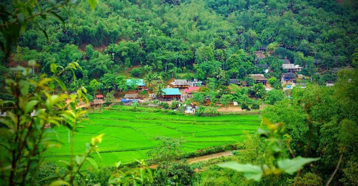 From Hanoi: Mai Chau With Biking To Admire Rice Fields - Culinary Delights