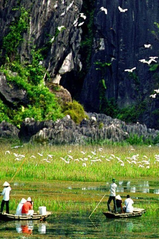 From Hanoi: Ninh Binh 2-Day Tour With Hoa Lu and Tam Coc - Day 2 Activities