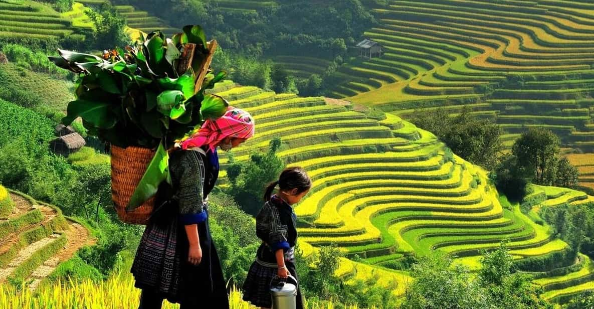 From Hanoi: Sapa 3D2N Tour- Lao Chai, Ta Van, Giang Ta Chai - Day 2: Trekking and Sightseeing