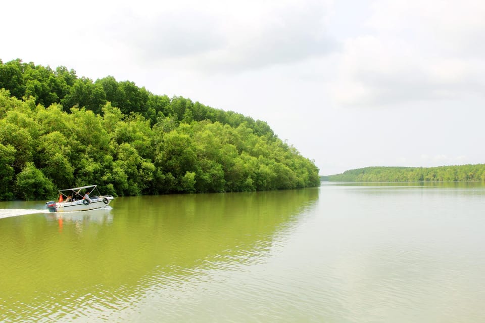 From Hcm: Can Gio Monkey Island- Mangrove Forest Daily Group - Exploring Crocodile and Bat Areas