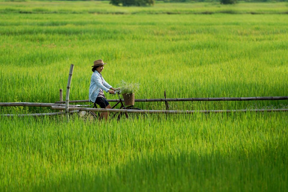 From HCM: Mekong Delta & Cai Rang Floating Market 2-Day Tour - Day 2 Activities