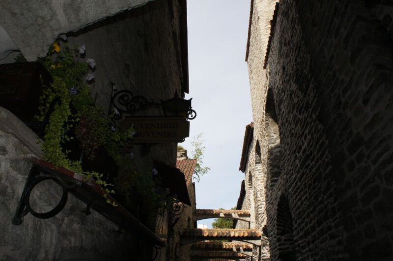 From Helsinki: Guided Day Trip to Tallinn by Ferry and Car - Guided Tour Experience