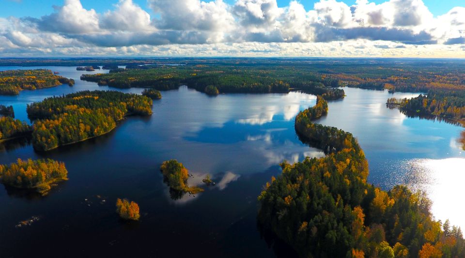 From Helsinki: Mushroom Hunting Tour in a National Park - What to Expect