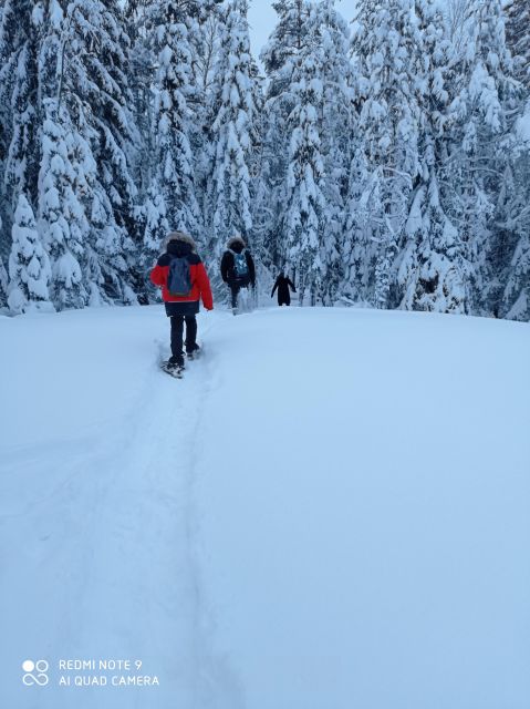 From Helsinki: Nuuksio National Park Hiking Tour With Food - Meeting Point Details