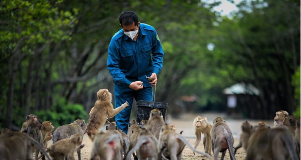 From Ho Chi Minh City: Can Gio Mangrove Forest 1 Day Tour - Experience Details