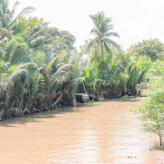 From Ho Chi Minh City: Mekong Delta Private Full-Day Tour - Customer Reviews