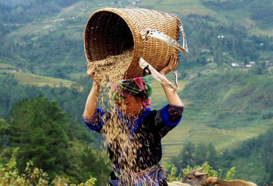 From Ho Chi Minh: Sapa Tour 2 Days 1 Night Tour - Local Culture and Communities