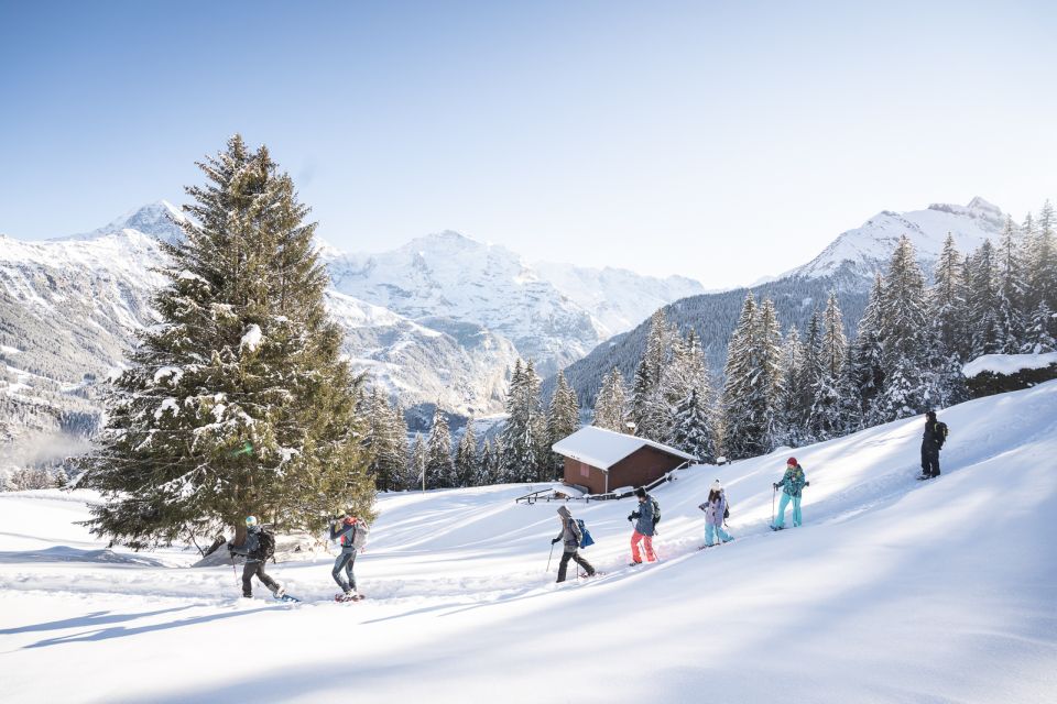 From Interlaken: Guided Snowshoe Tour Around Isenfluh - What to Bring