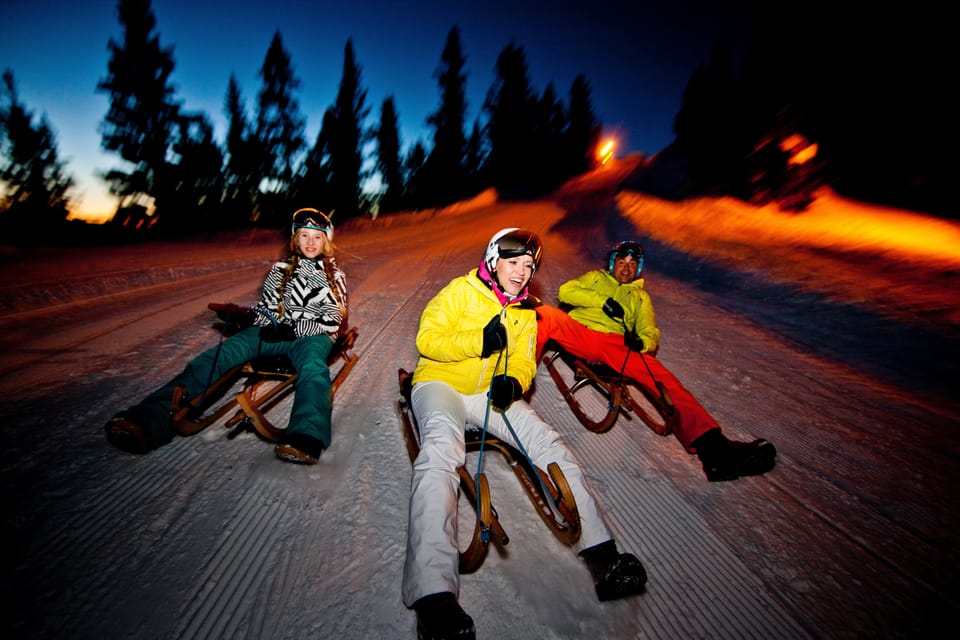 From Interlaken: Night Sledding With Cheese Fondue Dinner - Safety Guidelines and Preparation