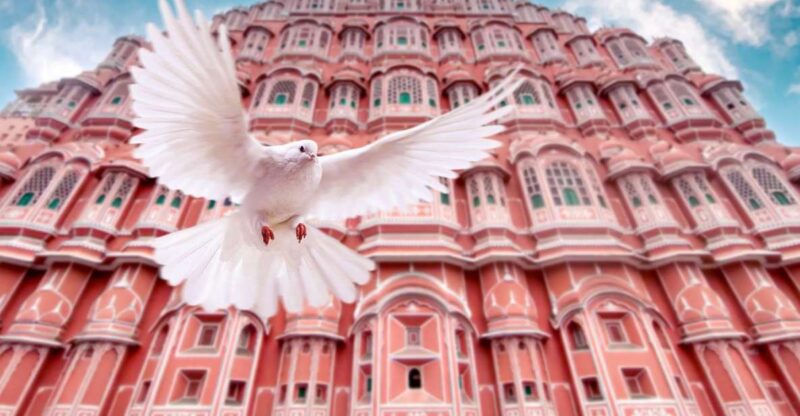 From Jaipur: Private Amber Fort, Jal Mahal and More Car Tour - Inclusions