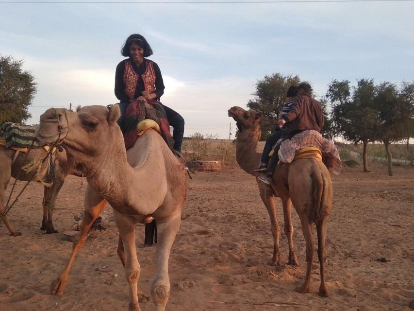 From Jodhpur : Camel Safari , Buffet Dinner + Folk Dance - Camel Safari Adventure