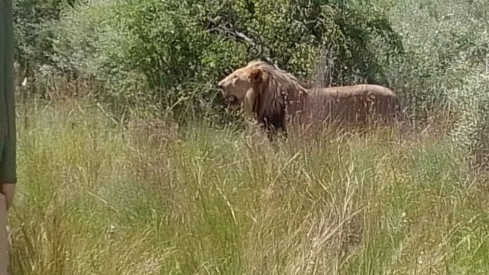 From Johannesburg: 7-Day Kruger National Park Tour - Interacting With Elephants at the Sanctuary