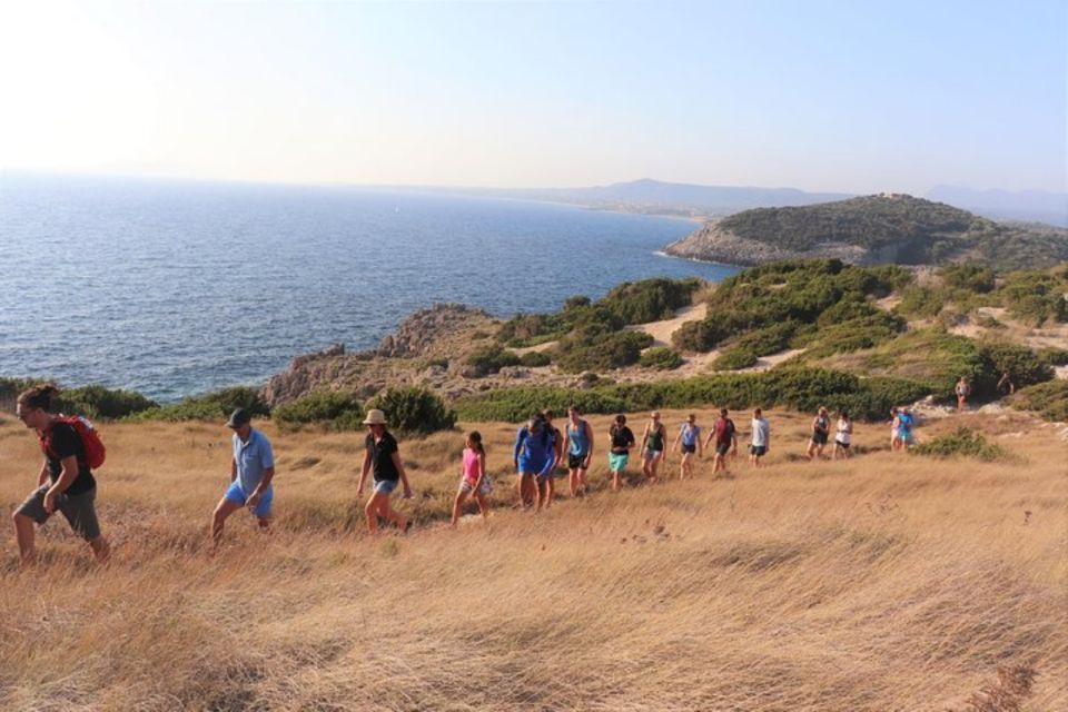 From Kalamata: Day Trip Hike to Gialova Lagoon With Dinner - Customer Feedback