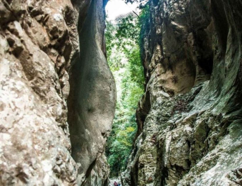 From Kalamata: Ridomo Gorge Hiking Tour With Greek Coffee - Scenic Vistas and Nature