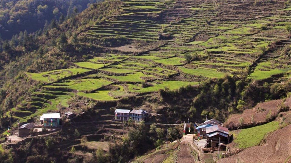 From Kathmandu : 16 Days Langtang Valley & Gosainkunda Trek - Included Services