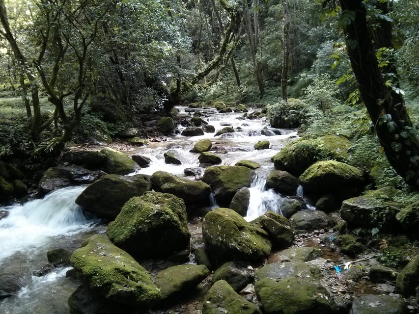 From Kathmandu: 2 Night 3 Day Nagarkot Trek - Experience and Highlights