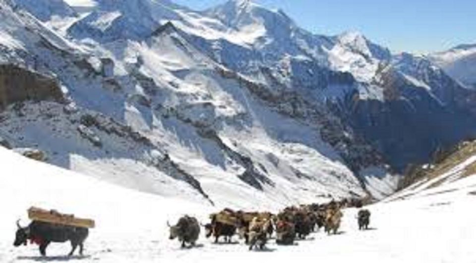 From Kathmandu: 27 Day Upper Dolpo Trek - Natural Attractions