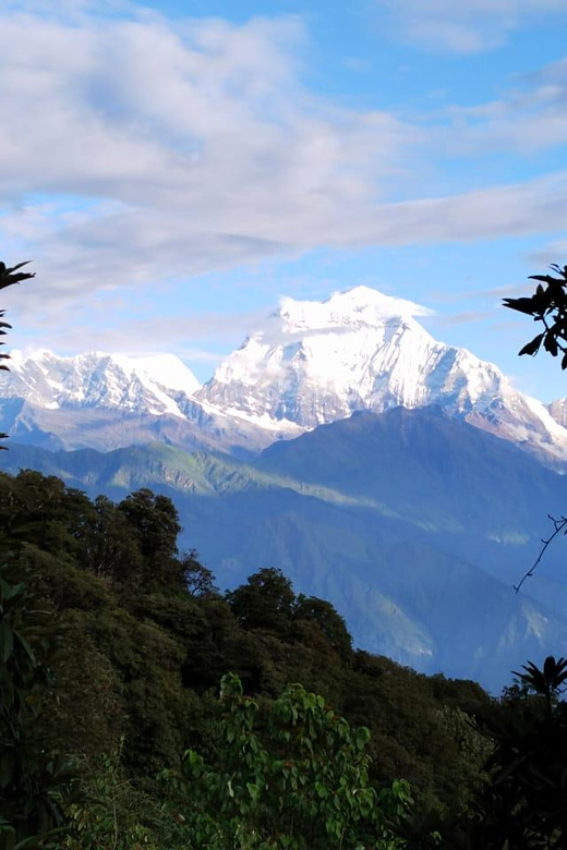 From Kathmandu: 7 Day Poon Hill Trek With Local Guides - Exclusions to Consider