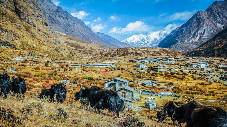 From Kathmandu: 9 Day Langtang Trek - Important Travel Information