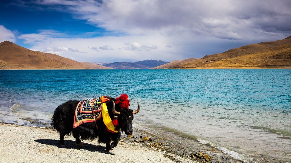 From Kathmandu: Multi-Day Tibet Highlights Trip - Included Services