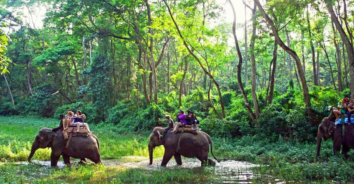 From Kathmandu or Pokhara: 1 N 2D Day Chitwan Wildlife Tour - Important Information