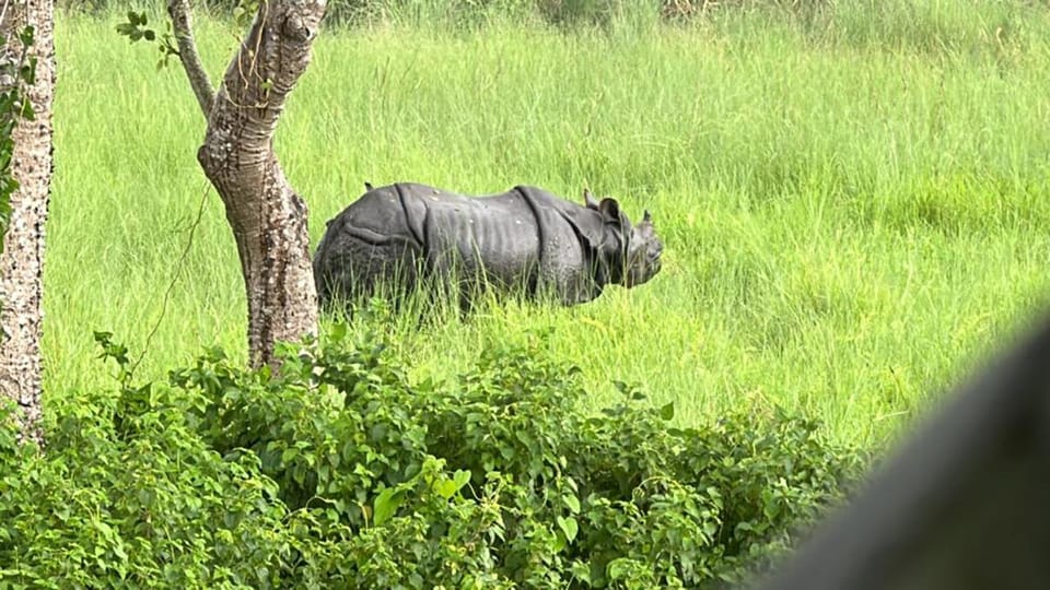 From Kathmandu to Chitwan: Jungle Safari + Meals & Transport - Important Travel Information