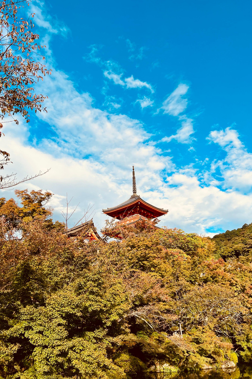 From Kobe: Kyoto Nara Private Day Tour Luxury Vehicle - Expert Local Guides