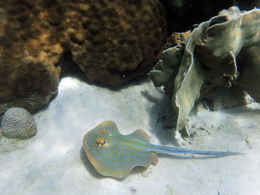 From Koh Samui: Island Hopping With Snorkeling and Lunch - Important Information