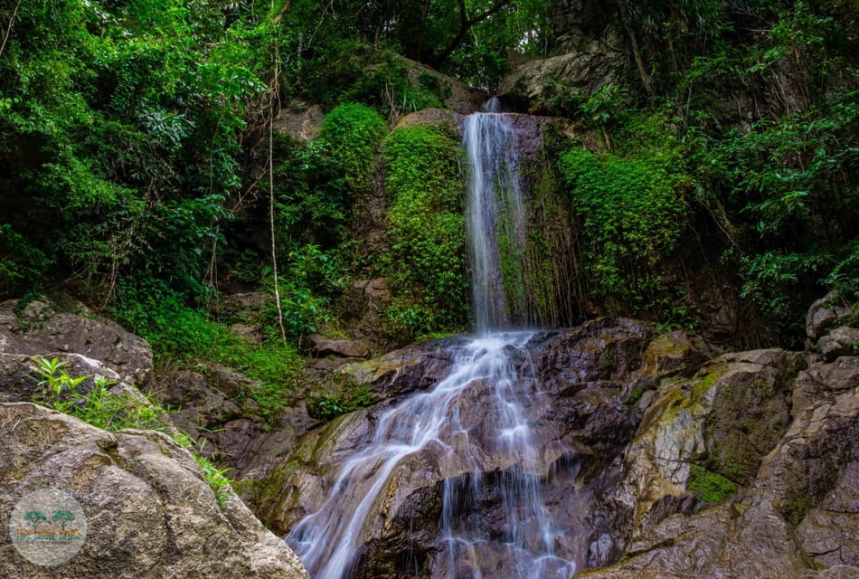 From Koh Samui: Tree Bridge Zipline and Café Experience - Safety and Challenges