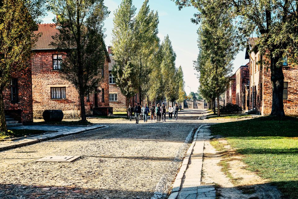 From Krakow: Auschwitz-Birkenau Tour With Transportation - Inclusions and Requirements