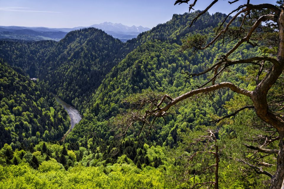 From Krakow: Dunajec Wooden Rafting Tour - Booking Your Rafting Adventure