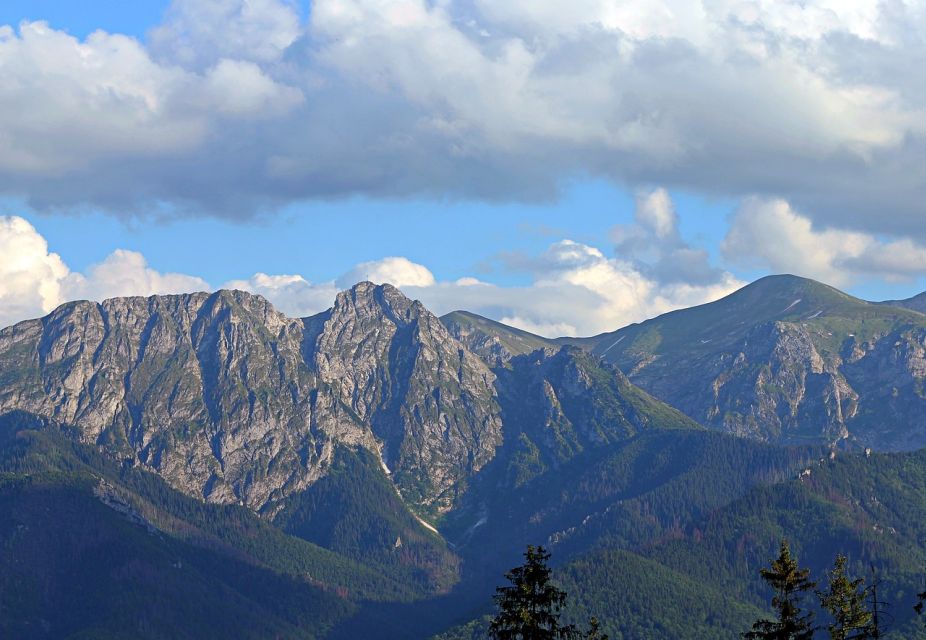 From Krakow: Slovakia Treetop Walk and Zakopane Tour - Treetop Walk Bachledka