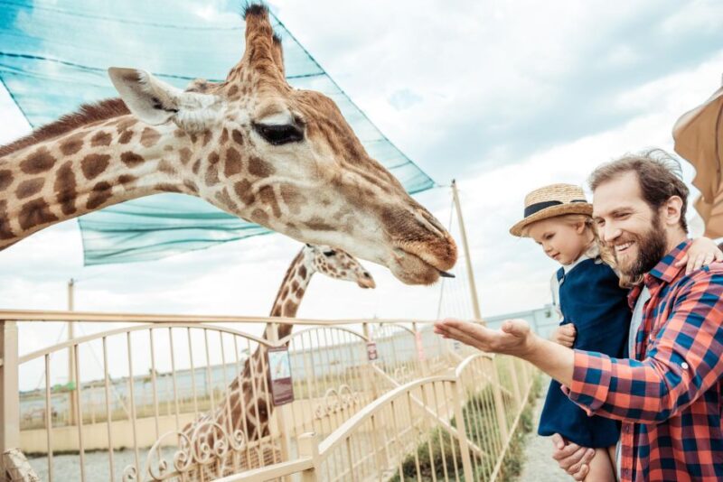 From Krakow: Zoo Trip With Transfer - Booking Your Trip