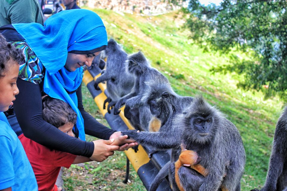 From Kuala Lumpur: Kuala Selangor Fireflies Tour With Dinner - Participant Eligibility