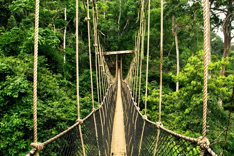 From Kuala Lumpur: Taman Negara National Park Private Tour - Inclusions