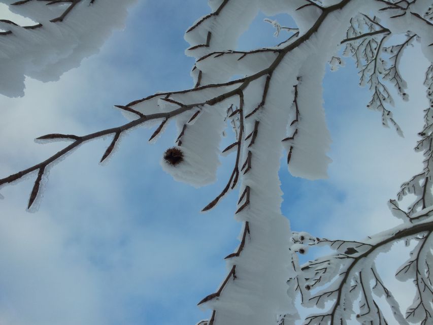 From Leipzig: Return Transfer to Fichtelberg Ski Run - Inclusions and Amenities