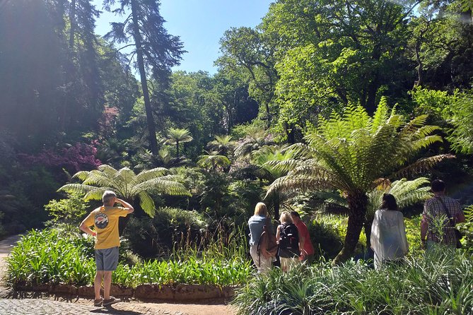 From Lisbon: Mystical & Romantic Sintra Small Group Tour - Tour Guide Feedback