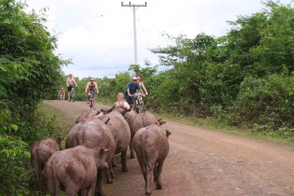 From Luang Prabang: Guided Mountain Bike Tour With Lunch - Additional Activity Options