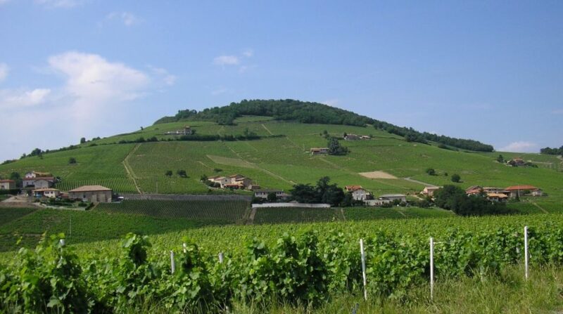 From Lyon: Beaujolais Region Wine Tour With Tastings - Tastings of Local Wines