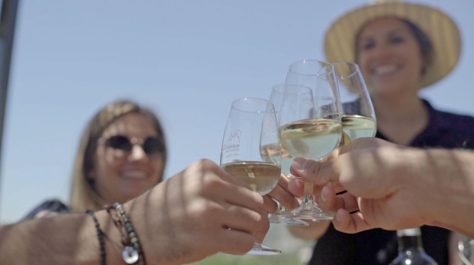 From Málaga: Ronda & Winery Experience With Wine Tasting - Tour Inclusions