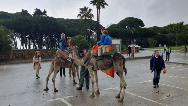 From Malaga: Tangier Day Tour With Bazaar Shopping and Lunch - Transportation and Guides