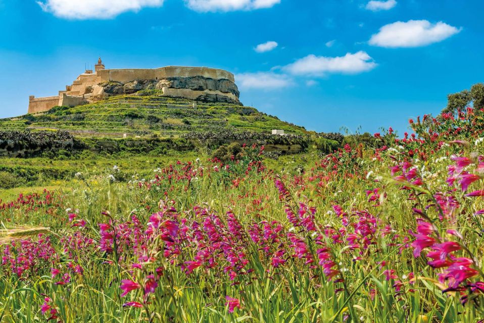 From Malta: Gozo Jeep Tour With Lunch and Transfers - Lunch and Refreshments Included