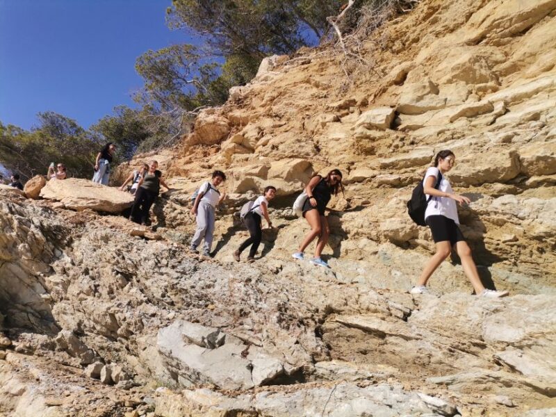 From Marseille: Calanques National Park Guided Hike - Hiking Guides and Group Size