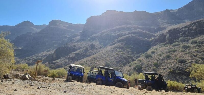 From Maspalomas: Volcanic Landscapes 4-Seater Buggy Tour - Guided Tour and Cultural Insights