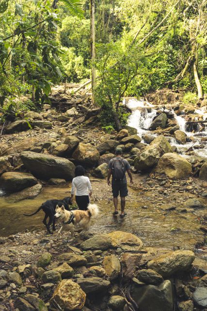 From Medellin Waterfalls: Guided Hiking Tour in Nature - Wildlife and Nature Sightings