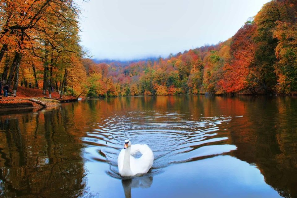 From Monasteries to the Lake A Day-Long Adventure in Armenia - The Charm of Dilijan