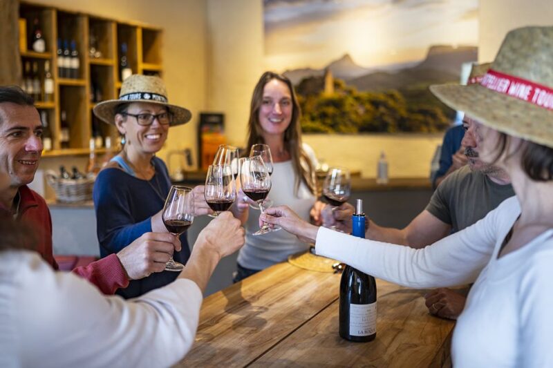 From Montpellier: Half-Day Vineyard & Pic Saint-Loup Tour - Inclusions